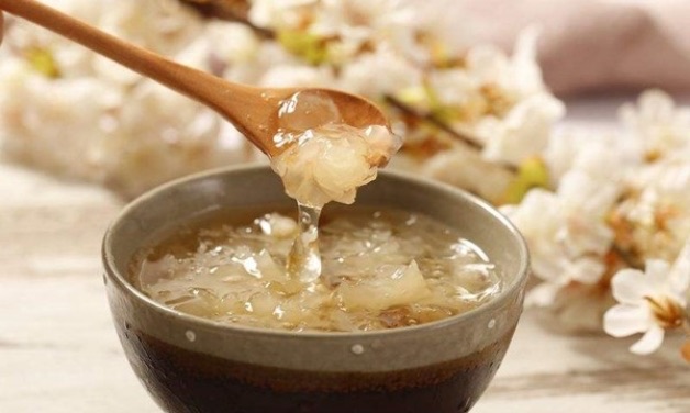 雪燕是什么-图1 雪燕是什么-图1