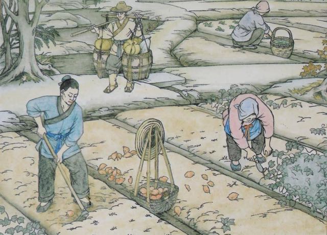 “倒春寒来不来,就看正月十六”,怎么看?今年会是冷春吗?-图3 “倒春寒来不来,就看正月十六”,怎么看?今年会是冷春吗?-图3