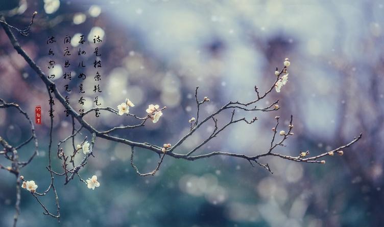 风花雪月什么意思-图1 风花雪月什么意思-图1