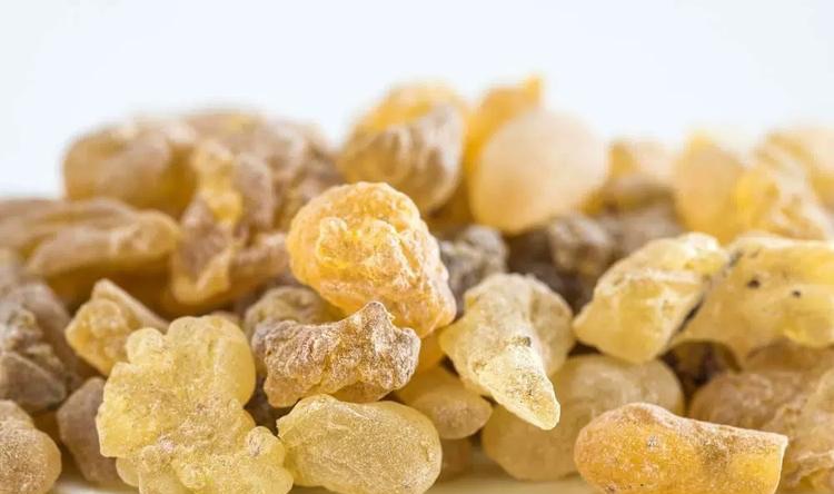 乳香纯露的功效与作用?乳香纯露的美容功效-图1 乳香纯露的功效与作用?乳香纯露的美容功效-图1