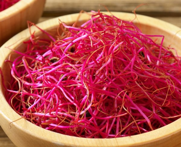 藏红花泡水喝的功效与作用及禁忌-图1 藏红花泡水喝的功效与作用及禁忌-图1