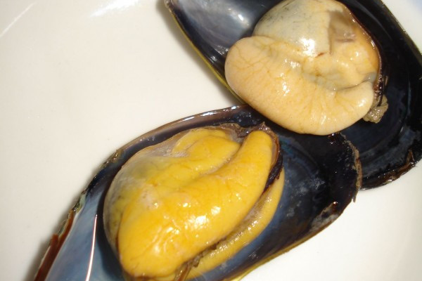 海虹什么部位不能吃?海虹的正确吃法-图2 海虹什么部位不能吃?海虹的正确吃法-图2