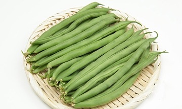 芸豆是什么?芸豆是豆角吗?-图1 芸豆是什么?芸豆是豆角吗?-图1