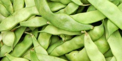 芸豆是什么?芸豆是豆角吗?-图3 芸豆是什么?芸豆是豆角吗?-图3