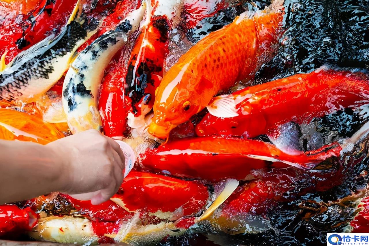 小投资2~3万加盟店(半年可赚15万的小生意)-图1 小投资2~3万加盟店(半年可赚15万的小生意)-图1