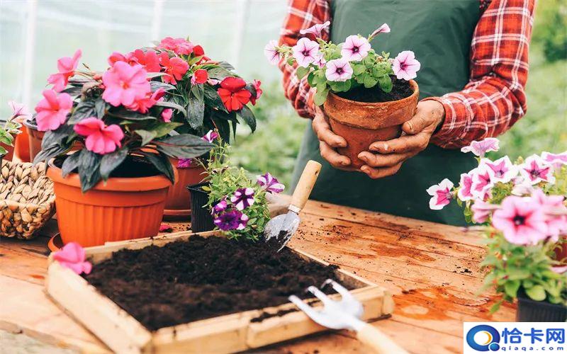 创业生意小项目?不起眼却能年赚百万-图2 创业生意小项目?不起眼却能年赚百万-图2