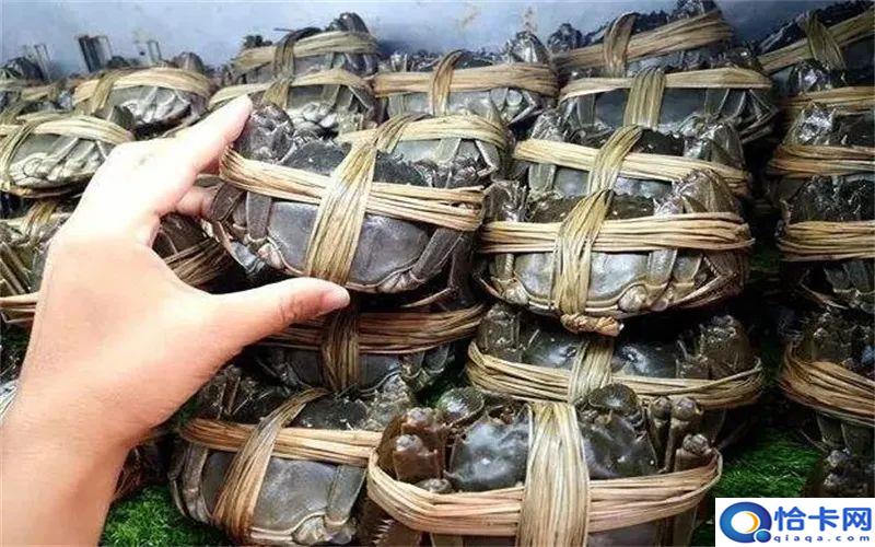 创业生意小项目?不起眼却能年赚百万-图3 创业生意小项目?不起眼却能年赚百万-图3