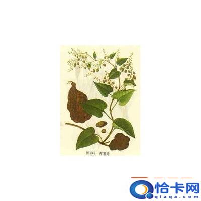 鞋子批发网?三十六个货源网站-图1 鞋子批发网?三十六个货源网站-图1