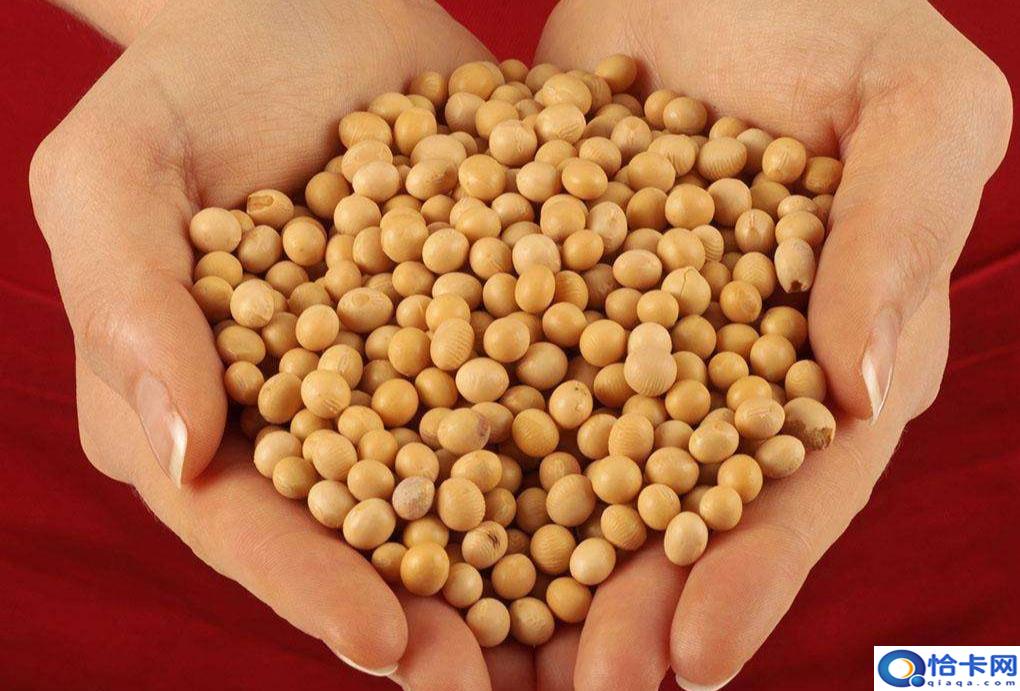 美豆期货?美豆出口预估继续上调-图1 美豆期货?美豆出口预估继续上调-图1