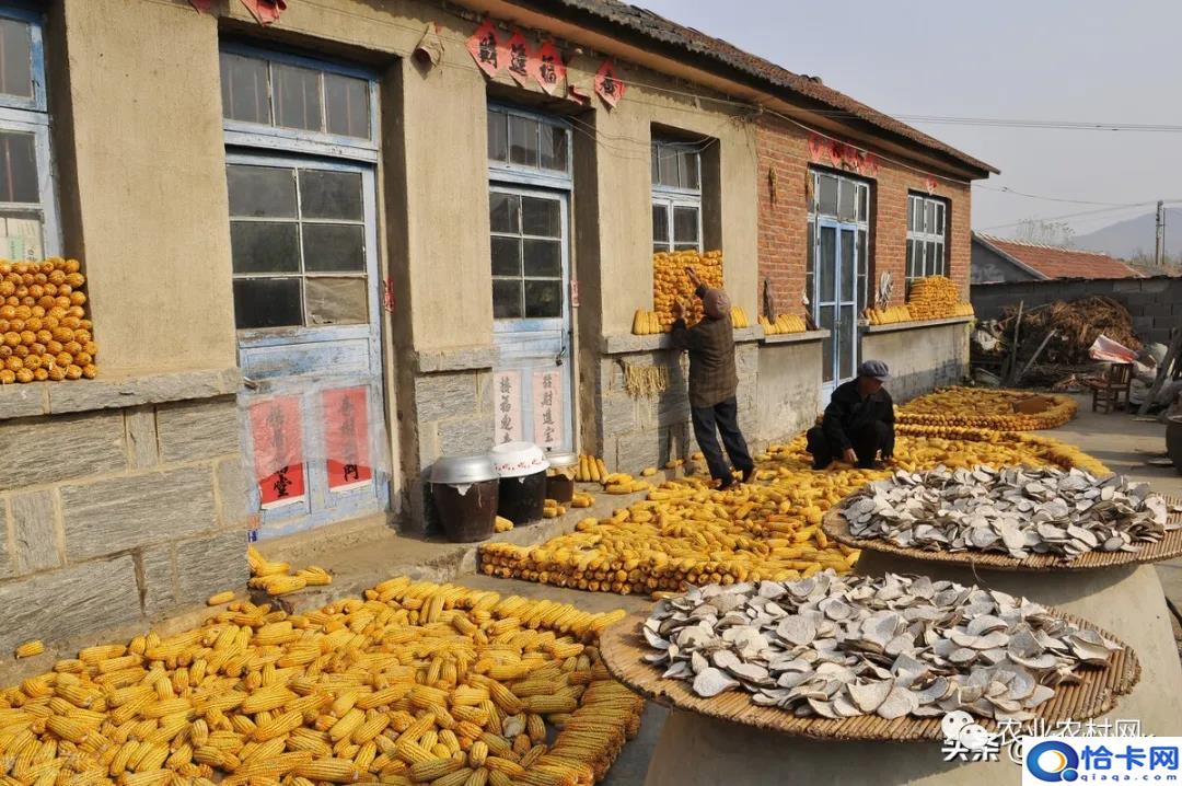 农村宅基地确权和拆迁有关系吗-图4 农村宅基地确权和拆迁有关系吗-图4