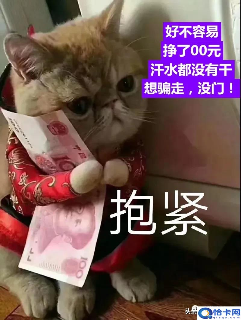 ace王牌理财靠谱吗?80个互联网项目骗局-图2 ace王牌理财靠谱吗?80个互联网项目骗局-图2