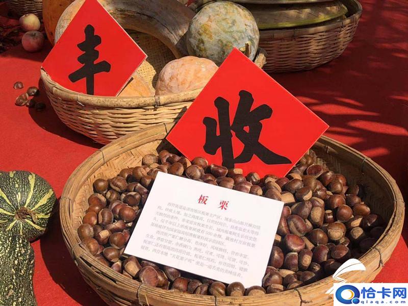 半程马拉松多少公里多少时间?这位16岁少年用时76分钟-图6 半程马拉松多少公里多少时间?这位16岁少年用时76分钟-图6