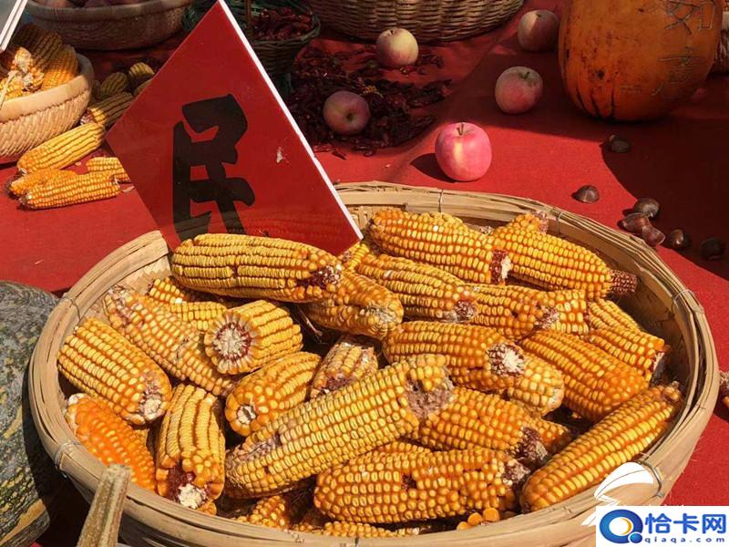 半程马拉松多少公里多少时间?这位16岁少年用时76分钟-图7 半程马拉松多少公里多少时间?这位16岁少年用时76分钟-图7