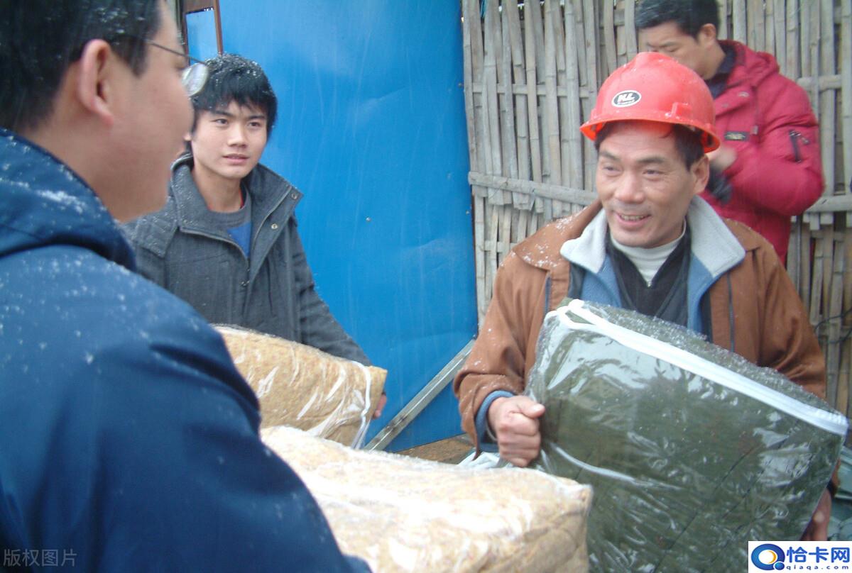 农民人均纯收入?农业农村部:农民人均收入9248元,月入4290-图7 农民人均纯收入?农业农村部:农民人均收入9248元,月入4290-图7