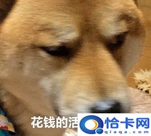 律师见证收费标准(打官司需要哪些费用)-图1 律师见证收费标准(打官司需要哪些费用)-图1