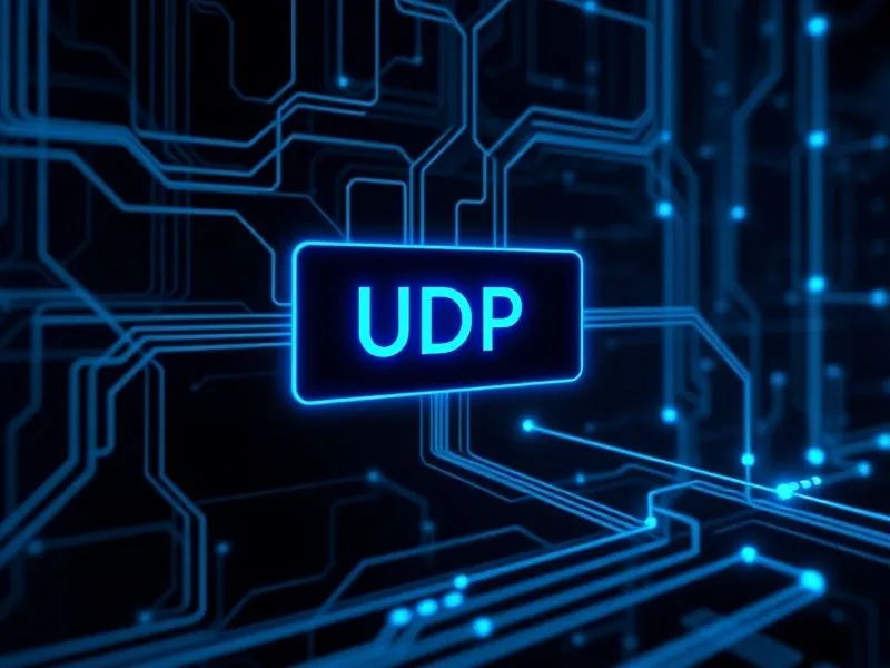 UDP端口是什么？常见的UDP端口号有哪些？