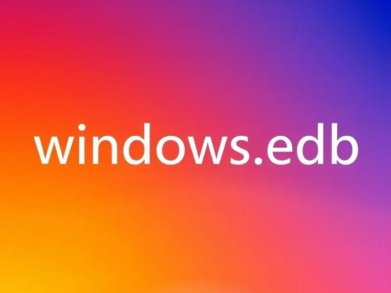 windows.edb是什么文件？可以删除吗？有什么后果？