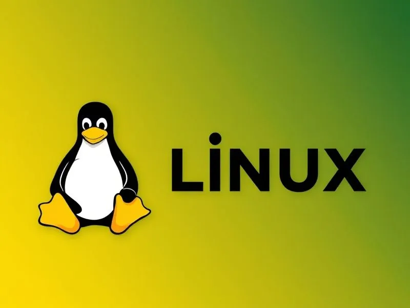 Linux系统下查看和管理物理内存的命令汇总