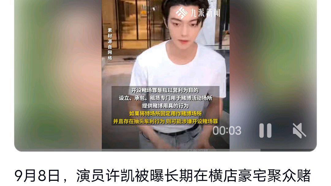 警方回应许凯被曝长期聚众赌博?网友:应该没有问题吧