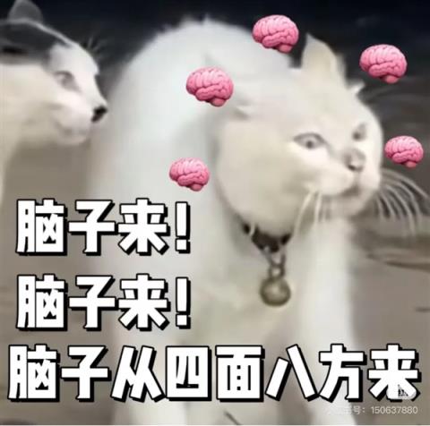 多吃鱼吧！真的可以补脑子(图4)