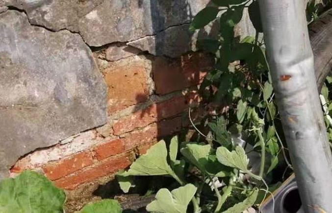 考科目二把考场围墙撞塌了