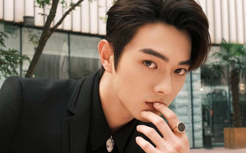 业内人士曝许凯新剧被换角