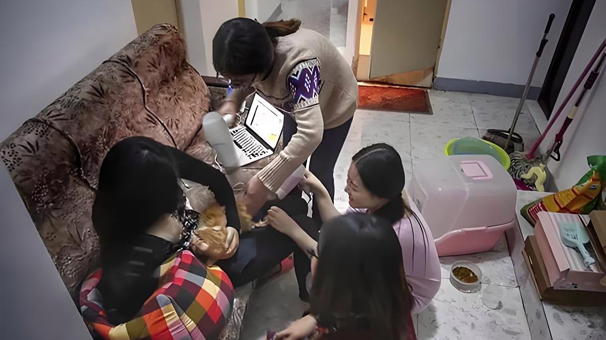 夫妻合租房生娃被赶?应该搬走吗?