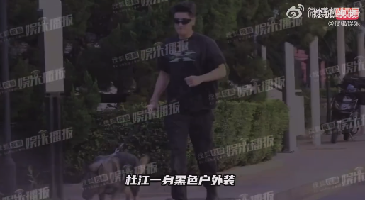 杜江霍思燕一起牵狗外出 网友：夫妻俩好有型！