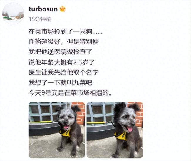 孙俪在菜市场捡了一只狗取名九菜 此前收养的流浪猫“加勒比和海盗”已经养了4年了