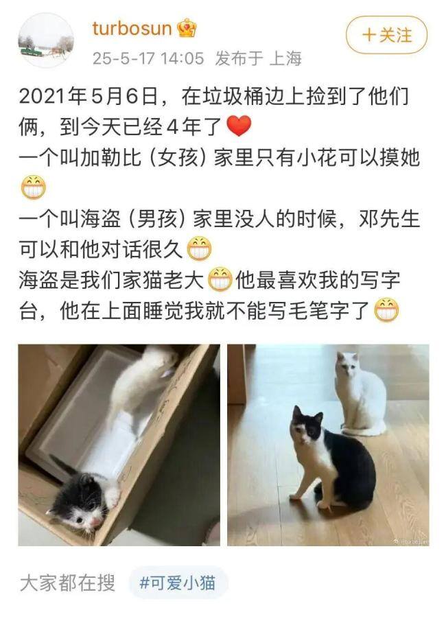 孙俪在菜市场捡了一只狗取名九菜 此前收养的流浪猫“加勒比和海盗”已经养了4年了