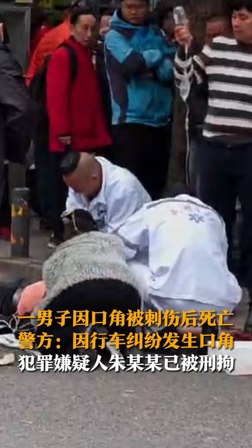 男子开车遭陌生人持刀捅伤致死