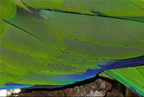 拍照时最讨厌的“摩尔纹” 竟是纸币防伪“黑科技”-图6