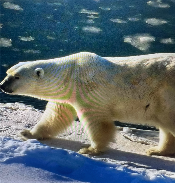 拍照时最讨厌的“摩尔纹” 竟是纸币防伪“黑科技”-图7