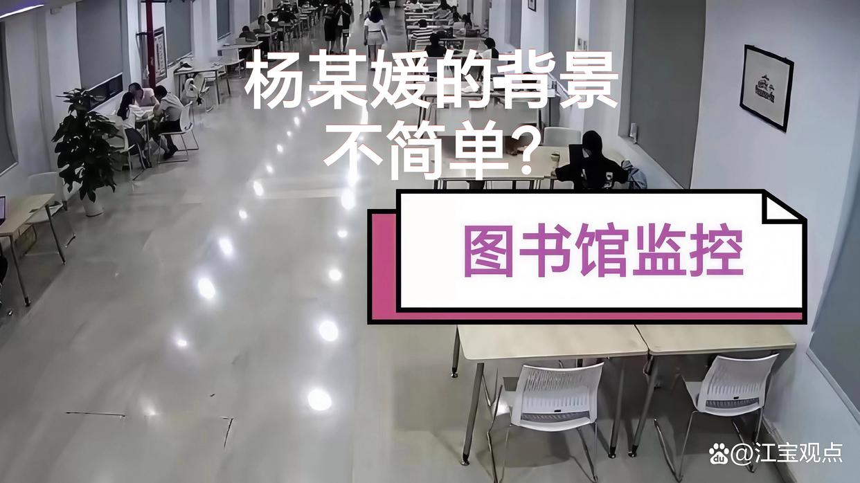 武大杨某媛论文突下架 她的能量?可能强大到我们无法想象!
