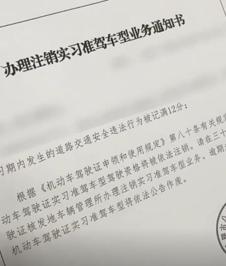 男子实习期内骑改装摩托炸街：被举报后驾驶证遭注销(图3)
