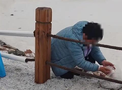 游客成袋装走茶卡盐湖铺路盐 景区：不建议拿 凭套票可免费领(图2)