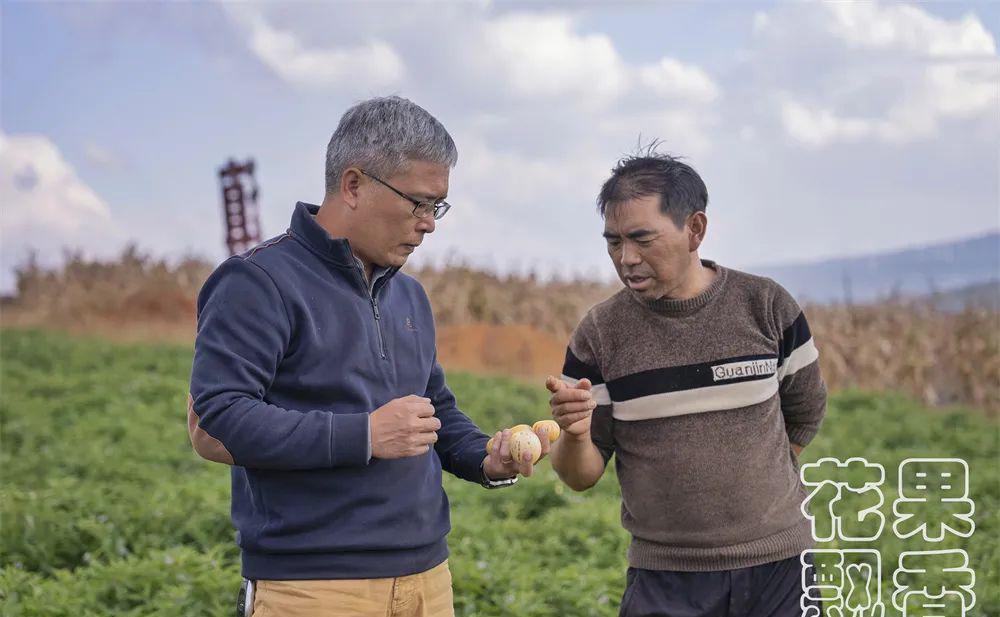 人参果好吃吗（人参果好吃不好吃）