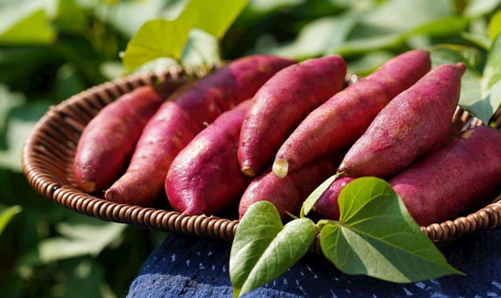 不涮的铜火锅 不涮的铜火锅怎么处理