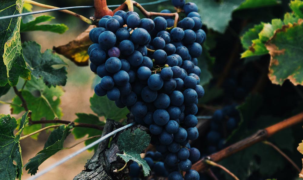 大串串串香与串串香和美蛙鱼头热量大揭秘