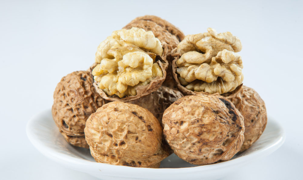 新记驴肉火锅与李记驴肉火烧：舌尖上的美味对决