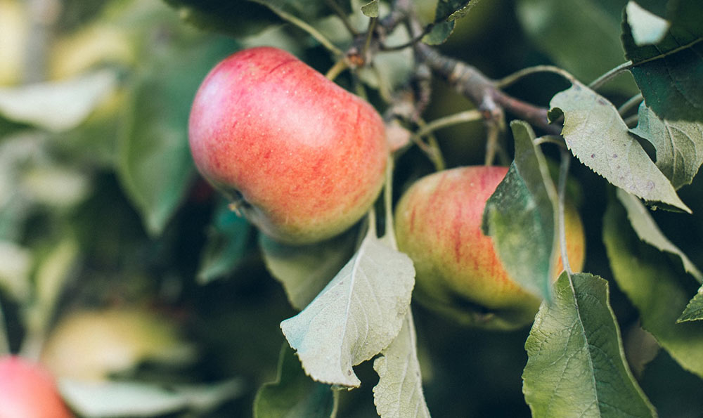 孙志鹏的麻辣烫 麻辣烫的点