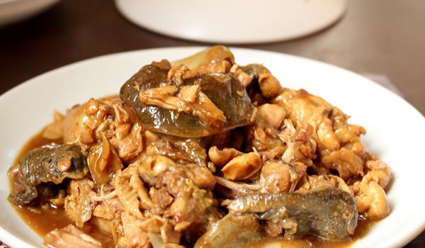 甲鱼的做法（大厨教你做甲鱼）