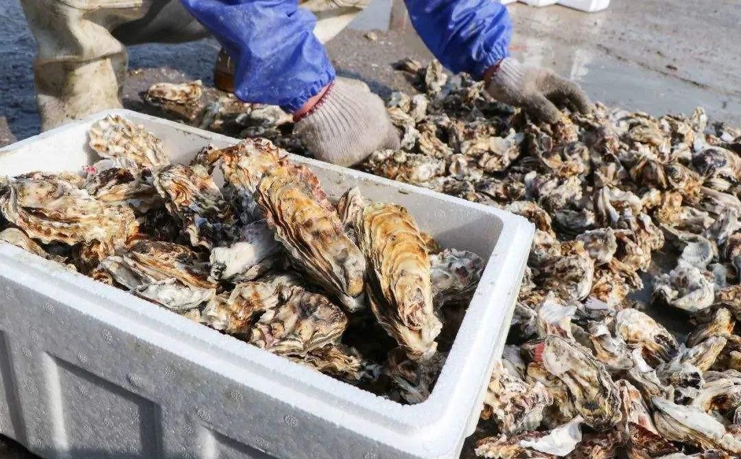 竹节虾的做法（竹节虾的做法大全家常菜）