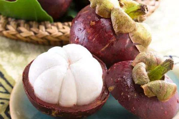 山竹是什么季节的水果 山竹成熟的季节是几月份-图3 山竹是什么季节的水果 山竹成熟的季节是几月份-图3