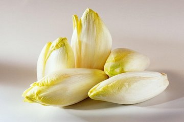 频繁得痛风?降尿酸战胜痛风5原则,坚持菊苣泡水喝,效果好!-图8 频繁得痛风?降尿酸战胜痛风5原则,坚持菊苣泡水喝,效果好!-图8