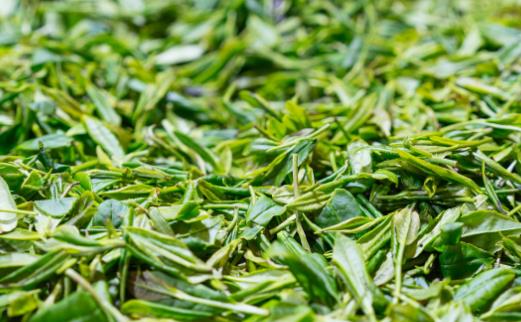 夏季多吃苦味食物，清心火，改变身体五味失衡状况