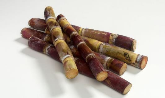 吃甘蔗有什么作用及功效？甘蔗的吃法大全（甘蔗的营养价值）