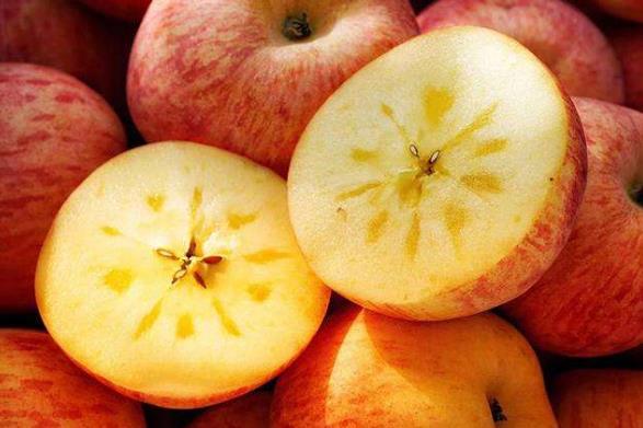冰糖心苹果的糖心是怎么形成的？冰糖心是苹果得了糖心病！
