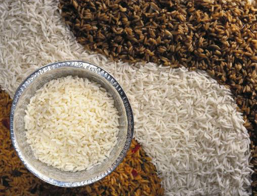 大米的营养价值及食用功效,大米在生活中有哪些作用?-图2 大米的营养价值及食用功效,大米在生活中有哪些作用?-图2