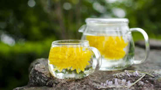 菊花茶的功效与作用，喝菊花茶有哪些禁忌（菊花茶知识）